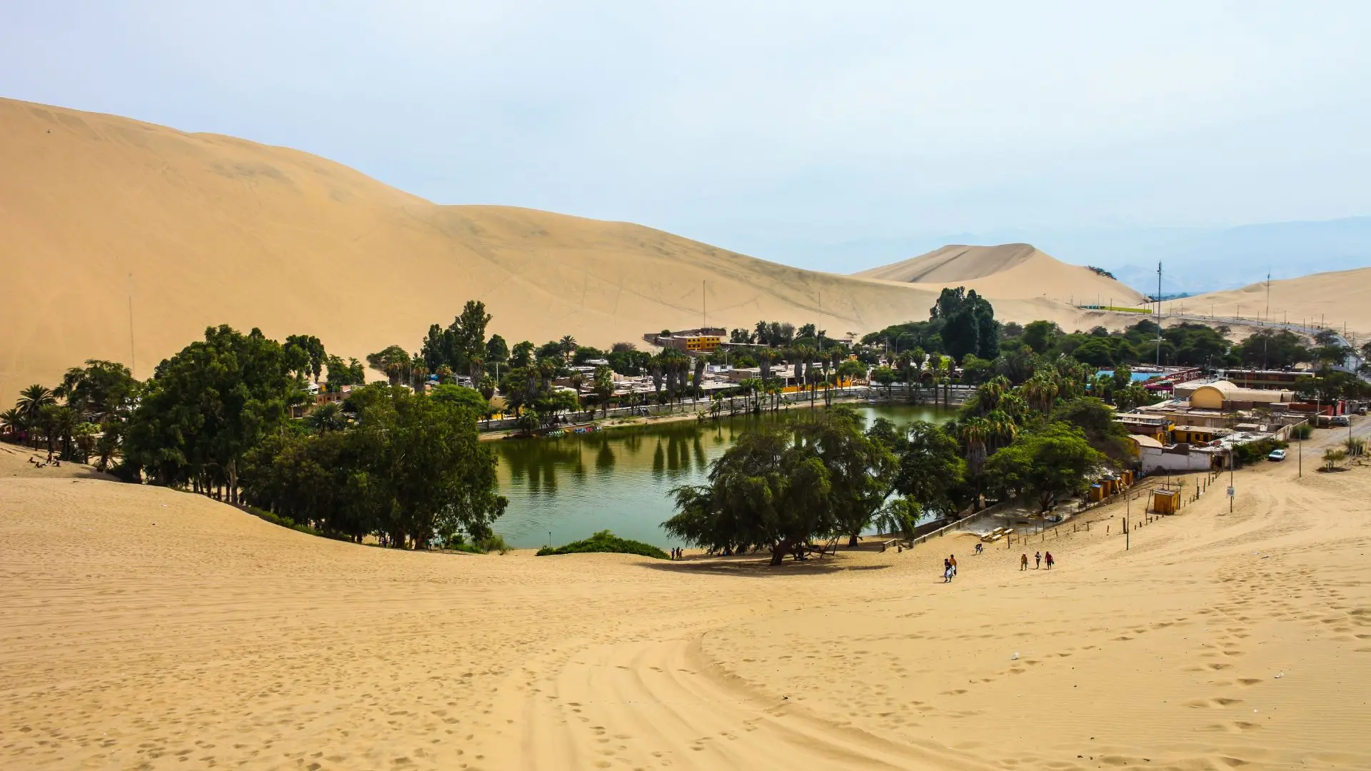 Ballestas Island and Huacachina Oasis Tour