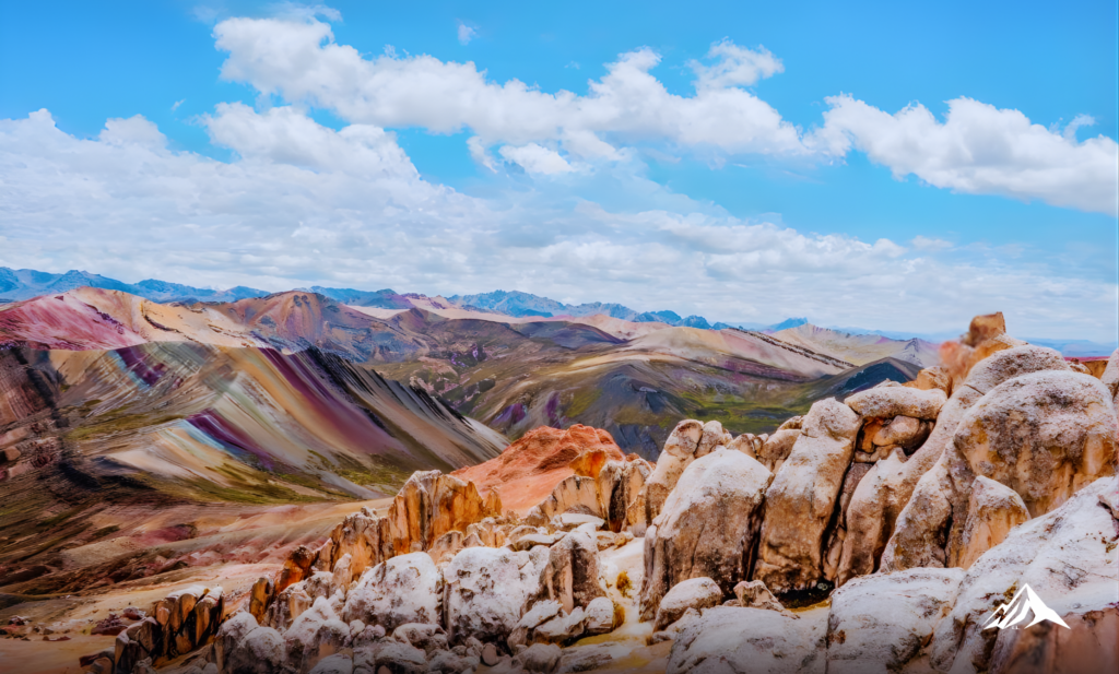 High-Andean Flora and Fauna in Palcoyo