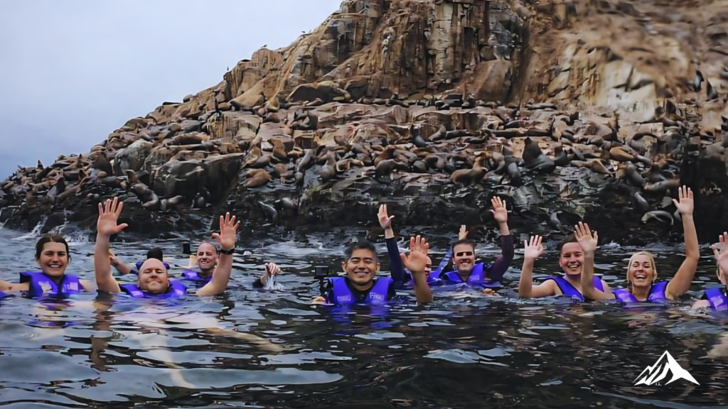 The Wildlife of the Palomino Islands: Sea Lions, Birds, and Secrets of the Ecosystem