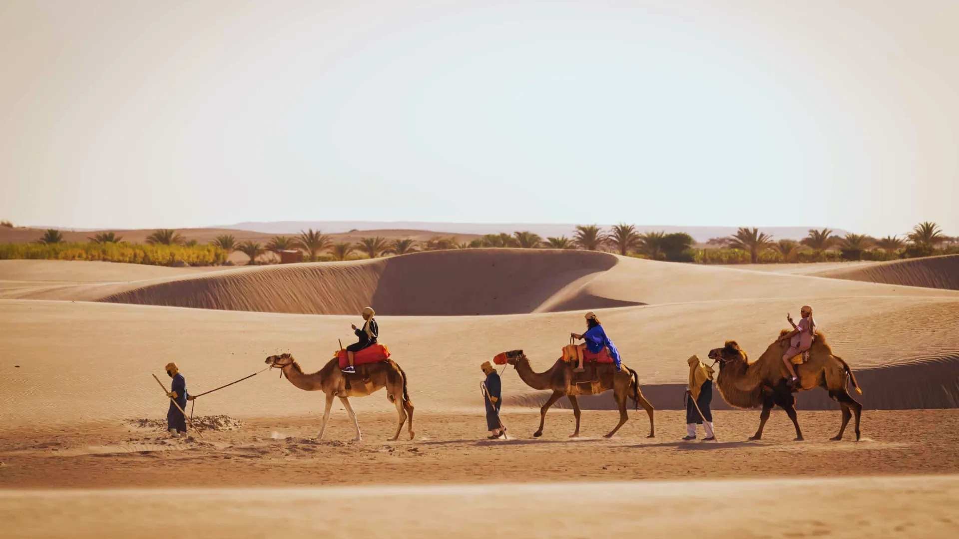 Camel Ride Tour, Vineyard and Huacachina tour