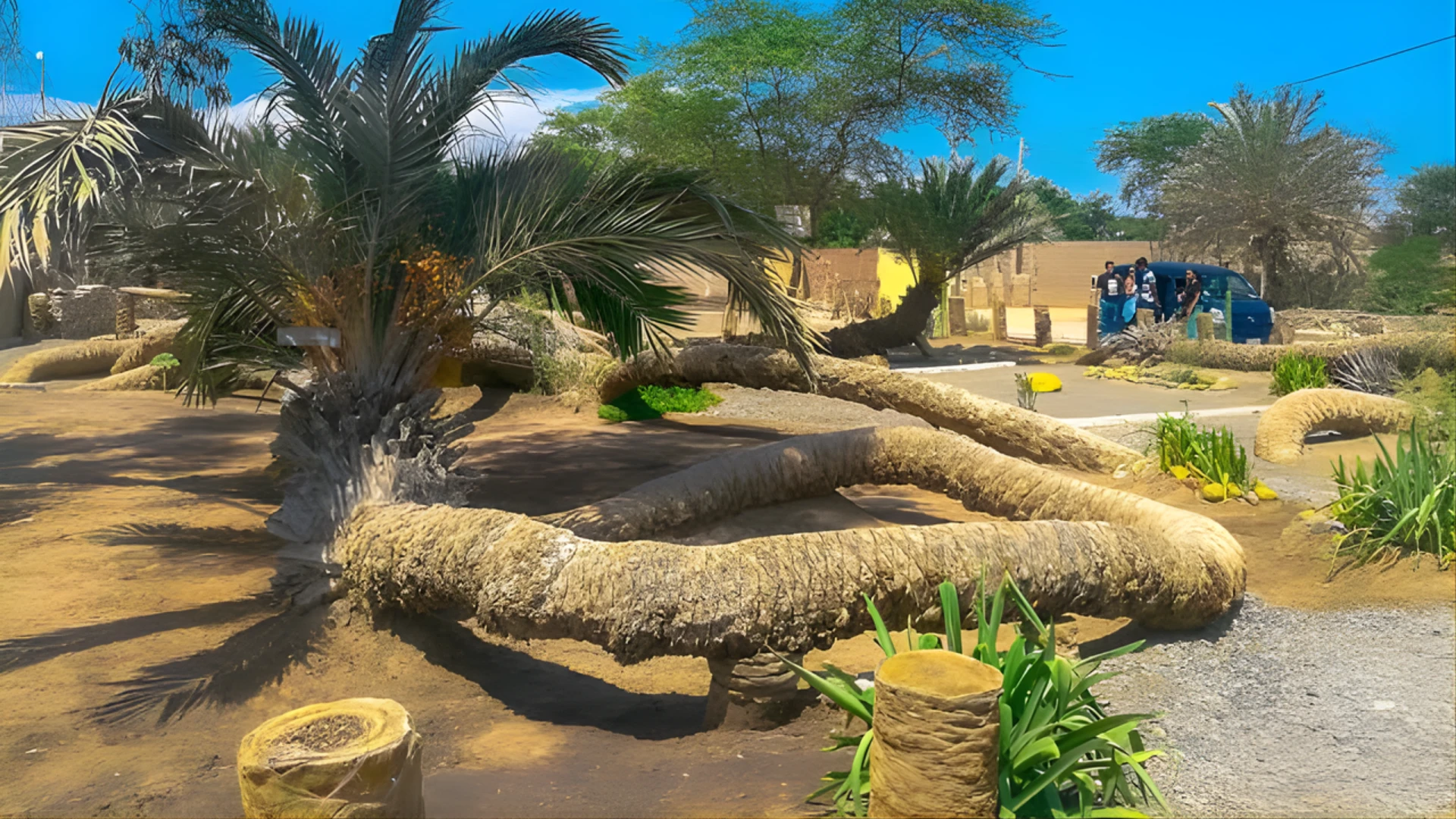 Ica City Tour and Huacachina