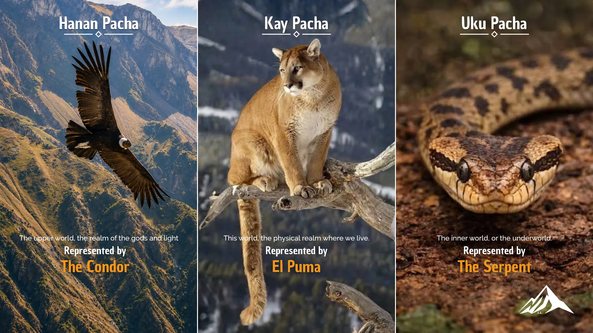 Three worlds of Andean cosmology: Hanan Pacha represented by the Condor, Kay Pacha by the Puma, and Uku Pacha by the Serpent, according to the Inca worldview.