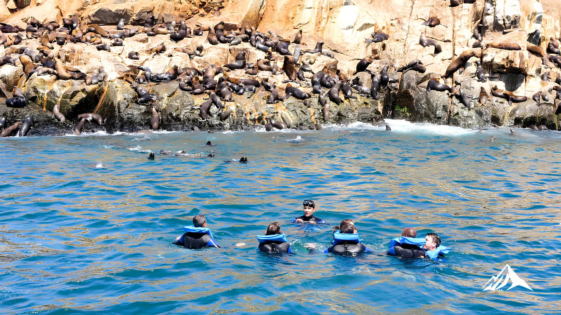 Visitors swimming with sea lions at the Palomino Islands near Callao, Peru.